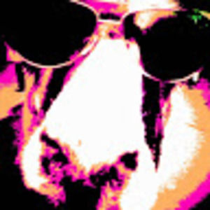 Meet your Posher, Ally